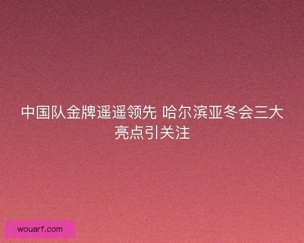 中国队金牌遥遥领先 哈尔滨亚冬会三大亮点引关注