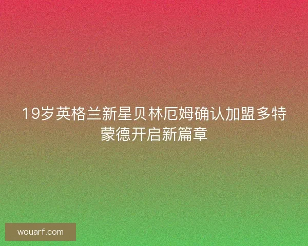 19岁英格兰新星贝林厄姆确认加盟多特蒙德开启新篇章